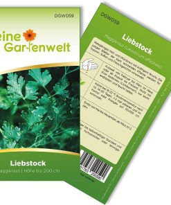 Graines / Semence de Livèche (Maggikraut)