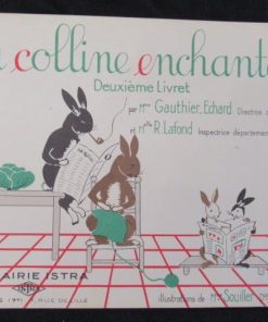 La colline enchantée deuxième livret la famille lapinet enfantina livre pour enfant apprendre à lire