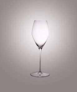 Verre à Champagne Performance